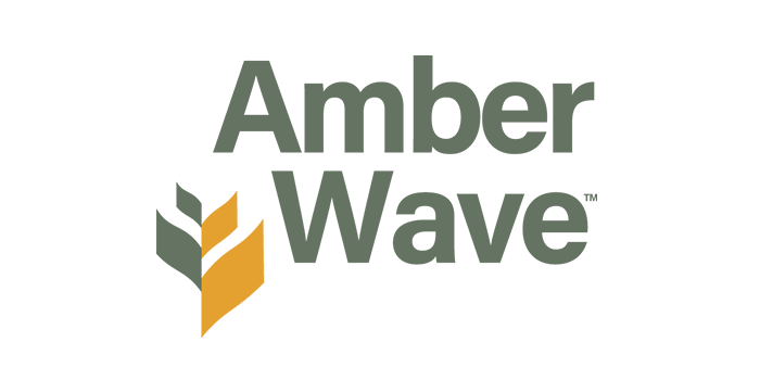 Logo Amber Wave